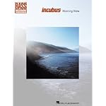 Incubus - Morning View book cover