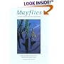 Mayflies: An Angler's Study of Trout Water Ephemeroptera