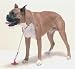 Hold Em Dog Bath Restraint Noose Style