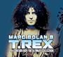 20th Century Boy: The Ultimate Collection