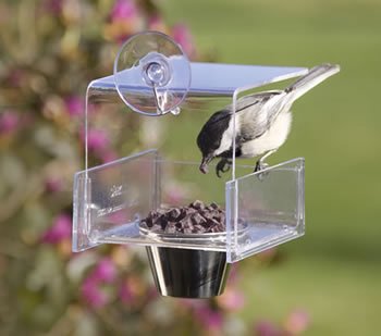Duncraft Mini Dish Window Feeder