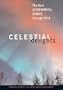 Celestial Delights: The Best Astronomical Events Through 2010