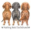 Nothing Butt Dachshund Adult T-Shirt