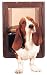 Pet Supplies : PetSafe Pet-Door Vinyl Replacement Flap - Medium