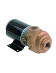 AMT Pump 4860-97 Marine Pump, Bronze, 1/8 HP, 12.8V DCV, Curve A, 3/4" NPT Female Suction & Discharge Ports