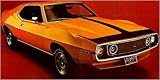 1971-74 Javelin/AMX T Stripes Kit (Solid) - WHITE