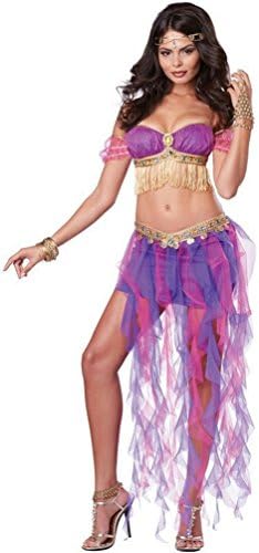 GSG9 Pink &amp; Purple Belly Dancer Sexy Adult Costume Large 10-12