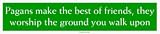 Pagans make the best of friends, they worship the ground you walk upon Bumper Sticker