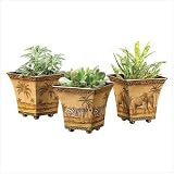 Safari Pots