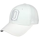 Zephyr Ohio State Buckeyes White Silver Lining Fitted Hat