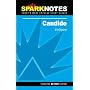 Spark Notes: Candide (Spark Notes)
