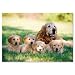 Melissa & Doug 0100 pc Golden Retriever w/Puppies Cardboard Jigsaw