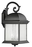 18-3/4-Inch Outdoor Wall Light