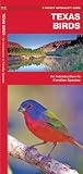 Texas Birds: An Introduction to Familiar Species (State Nature Guides)