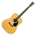 S.Yairi Japan Vintage Series YD-105 �A�R�[�X�e�B�b�N�M�^�[ �n�[�h�P�[�X�t