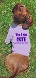 Yes I am Cute.I Get it From My Mom – Trendy Extra Large Lilac Dog T-Shirt