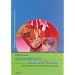 Arbeitsbl�tter: Feuer und Flamme: F�r Grundschule und Orientierungsstufe