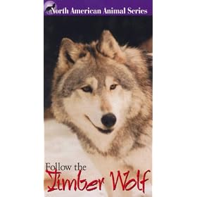 Follow The Timber Wolf [VHS]