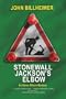 Stonewall Jackson's Elbow: An Owen Allison Mystery (Five Star First Edition Mystery)