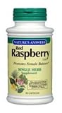Red Raspberry Leaf 90C