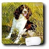 Dogs English Springer Spaniel - English Springer Spaniel - Mouse Pads