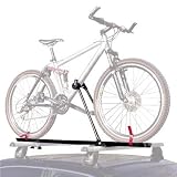 Upright Roof Rack