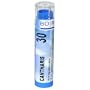 Boiron Homeopathic Medicine Cantharis, 30C Pellets, 80-Count Tubes (Pack of 5)