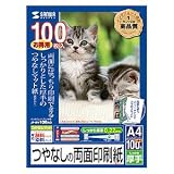 �T�����T�v���C �C���N�W�F�b�g�p���ʈ�����E����(��e��) JP-RV100AG/