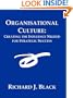 Organisational Culture: Creating the Influence Needed for Strategic Success