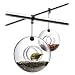 Bird Feeder