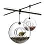 Bird Feeder