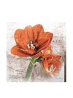 Orange Beauty 40 x 40