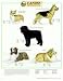 Canine Herding Group Chart