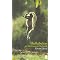Best Asian Fiction I've Read