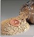 Brown Sugar Preserver, Rooster Design