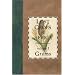 Lost Crops of Africa: Volume I: Grains (Lost Crops of Africa Vol. I)