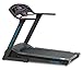 TruPace M120 Treadmill (Large)