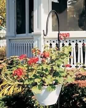 Plant Hangers