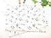Kids�������ޥåȡ�2�祻�åȡˡ��Ƥ�ꥺ����֤䤫����ǥ����ʥۥ磻�ȡ�