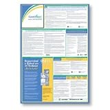 ComplyRightTM Federal Labor Law Poster - Spanish