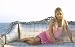 Sarah Michelle Gellar 11x17 HD Photo Poster Hot Actress #06