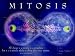 Mitosis - Art Print Poster 24 x 18