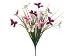 21 Grass/Butterfly Bush Violet Cream (Pack of 12)