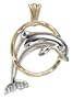 14k Yellow Gold and Rhodium Diamond-cut Dolphin Charm