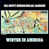 Winter in America (Reis)