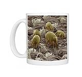 LRDS-38 Dust Mite Photo Mugs