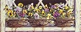 Window Pansies - Artist: Mark Lee Goldberg - Art Print Poster Size: 20.00 by 8.00 inches