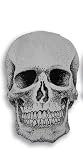Window Film; 2 Skull Tattoos Outlined; 41J8CRXD8KL. SL160 Window Film; 2 Skull Tattoos Outlined;