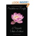 A House Like a Lotus