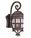 Tracy Porter by Savoy House 5-382-8 New Tortoise Shell with Silver Bergamot Transitio...